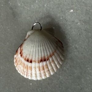 Calico Scallop Seashell Pendant